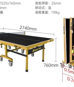 266 Double Fish Indoor Table Tennis Board