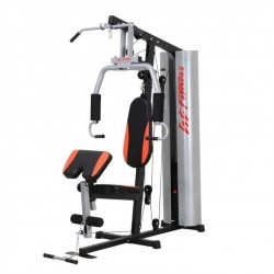 American Fitness Single Station Gym